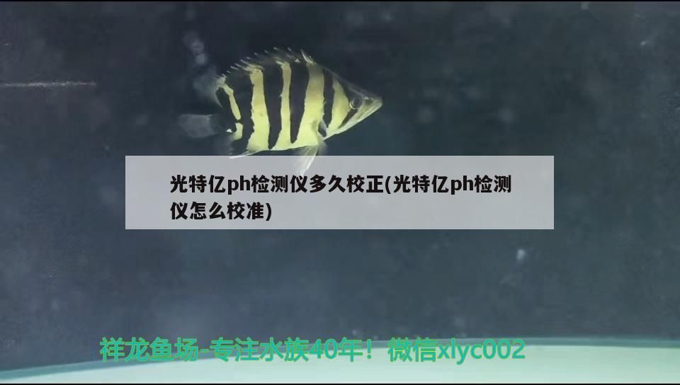 光特億ph檢測儀多久校正(光特億ph檢測儀怎么校準)