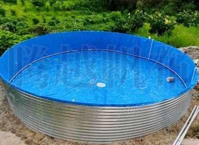 戶外觀賞魚池防鳥用什么（戶外觀賞魚池如何防鳥）