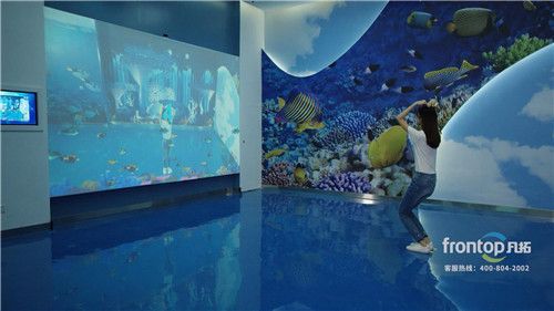 互動投影水族館技術解析：互動投影技術在水族館中的應用