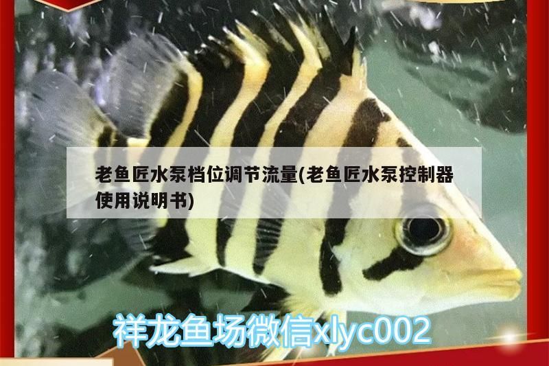 老魚(yú)匠水泵檔位調(diào)節(jié)流量(老魚(yú)匠水泵控制器使用說(shuō)明書(shū))