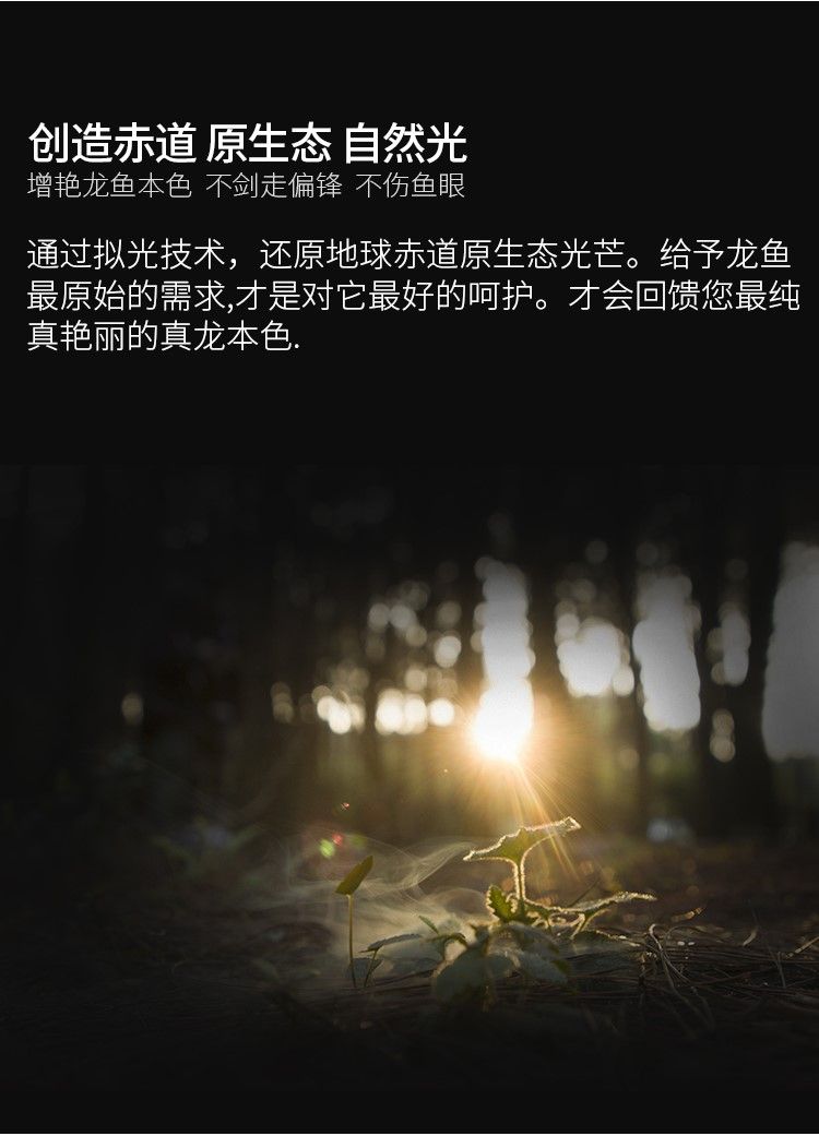 馬印龍魚燈管紅金龍魚專用燈T5潛水燈魚缸水族防水燈照明燈水中燈