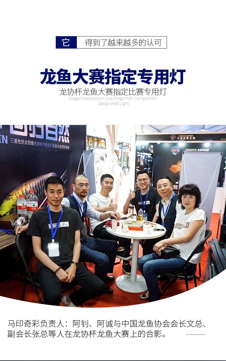 馬印龍魚燈管紅金龍魚專用燈T5潛水燈魚缸水族防水燈照明燈水中燈