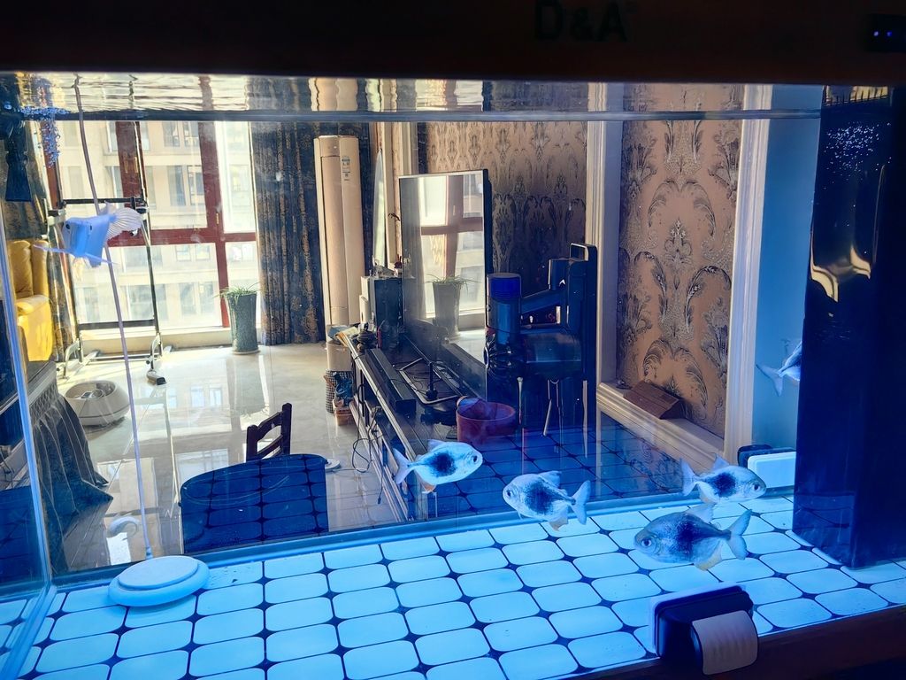 求助貼：玻璃膠軟化 求助貼：玻璃膠軟化 龍魚論壇