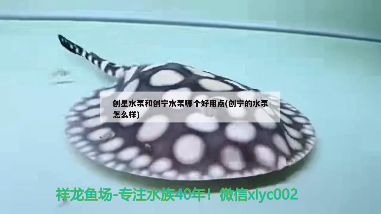 創星水泵和創寧水泵哪個好用點(創寧的水泵怎么樣)