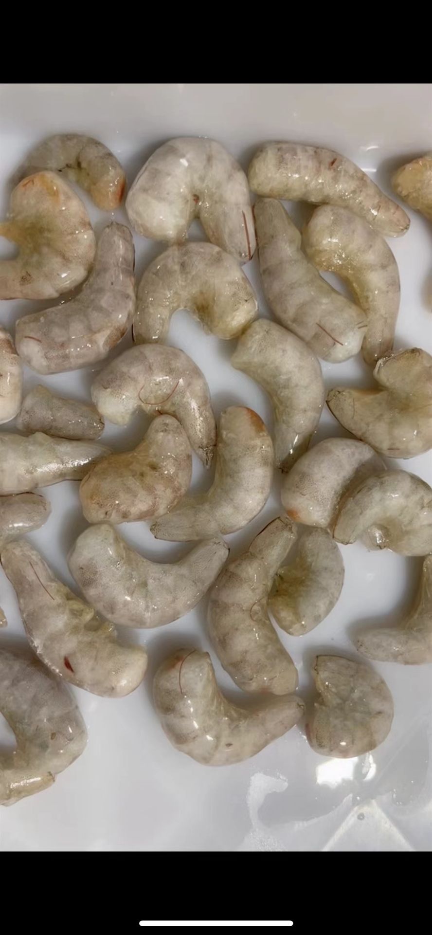 新鮮的喂魚凍蝦去頭尾蝦段 龍魚虎魚魚食 新鮮的喂魚凍蝦去頭尾蝦段 龍魚虎魚魚食 龍魚論壇 第1張