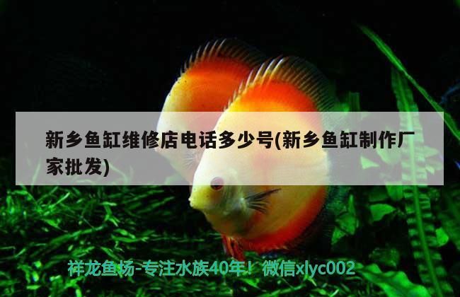 新鄉魚缸維修店電話多少號(新鄉魚缸制作廠家批發)