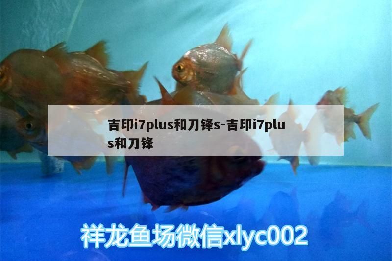 吉印i7plus和刀鋒s:吉印i7plus和刀鋒