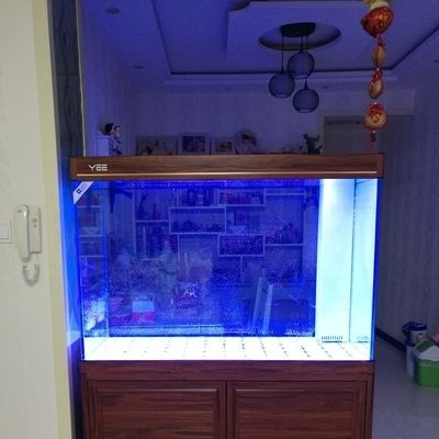 yee魚缸代理：yee魚缸代理是什么？