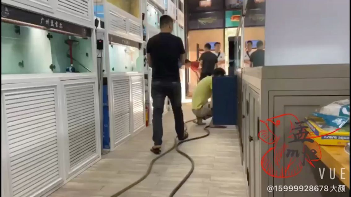 石家莊水族館孟吉爾～萬吉紅外線F1開選 石家莊水族館孟吉爾～萬吉紅外線F1開選 廣州孟吉爾 第1張
