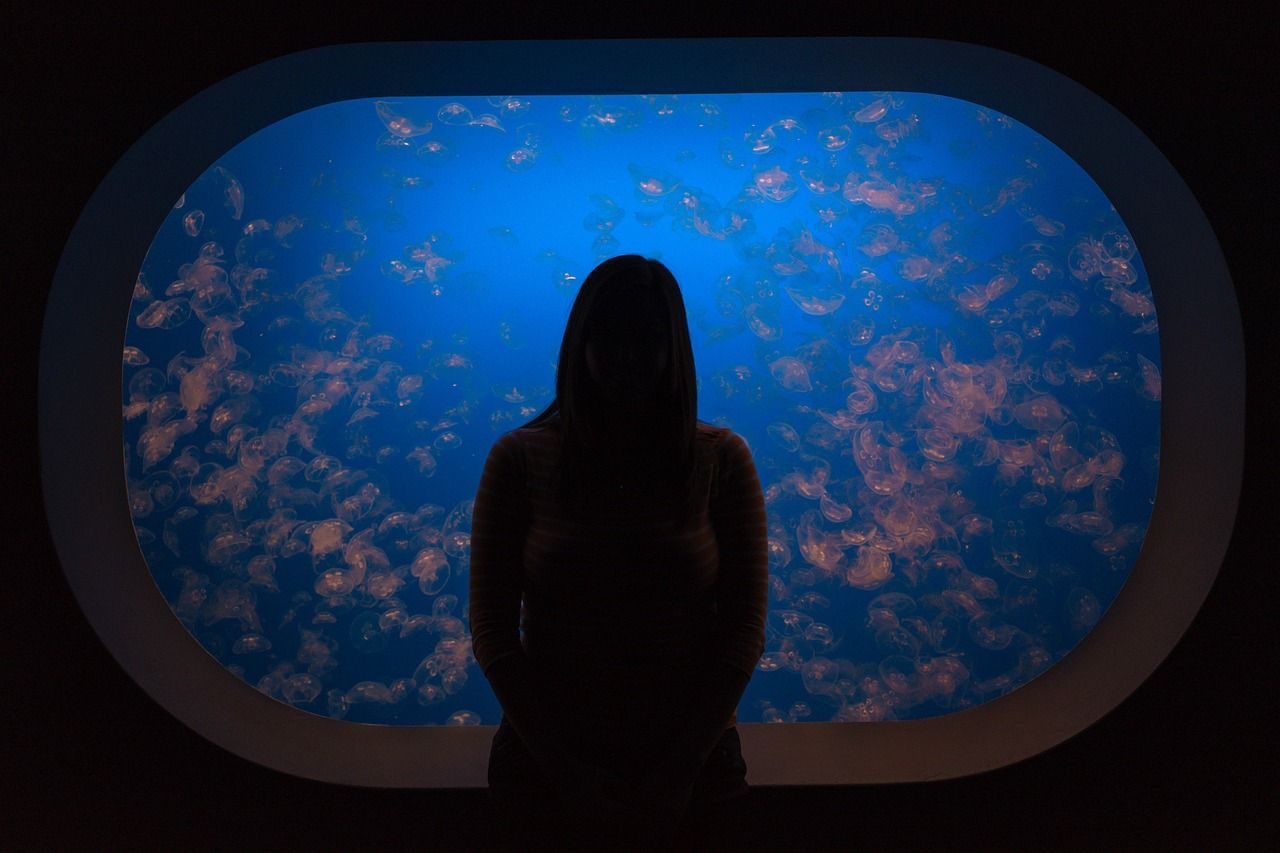石家莊水族館孟吉爾～萬吉紅外線F1開選 石家莊水族館孟吉爾～萬吉紅外線F1開選 廣州孟吉爾 第2張