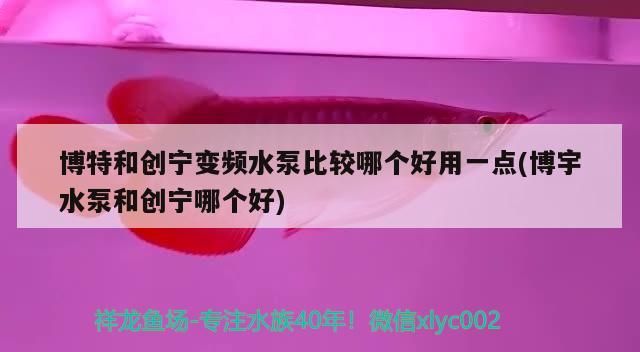 博特和創(chuàng)寧變頻水泵比較哪個好用一點(博宇水泵和創(chuàng)寧哪個好)