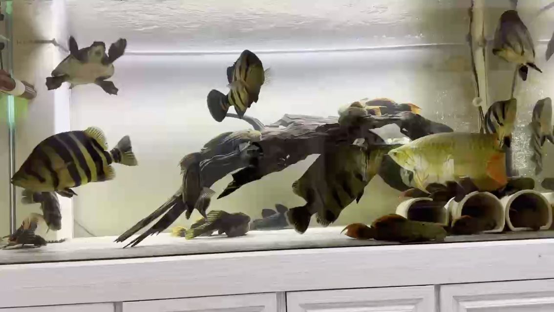 密度大