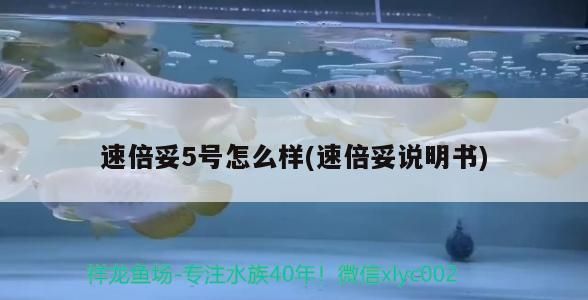 速倍妥5號怎么樣(速倍妥說明書)