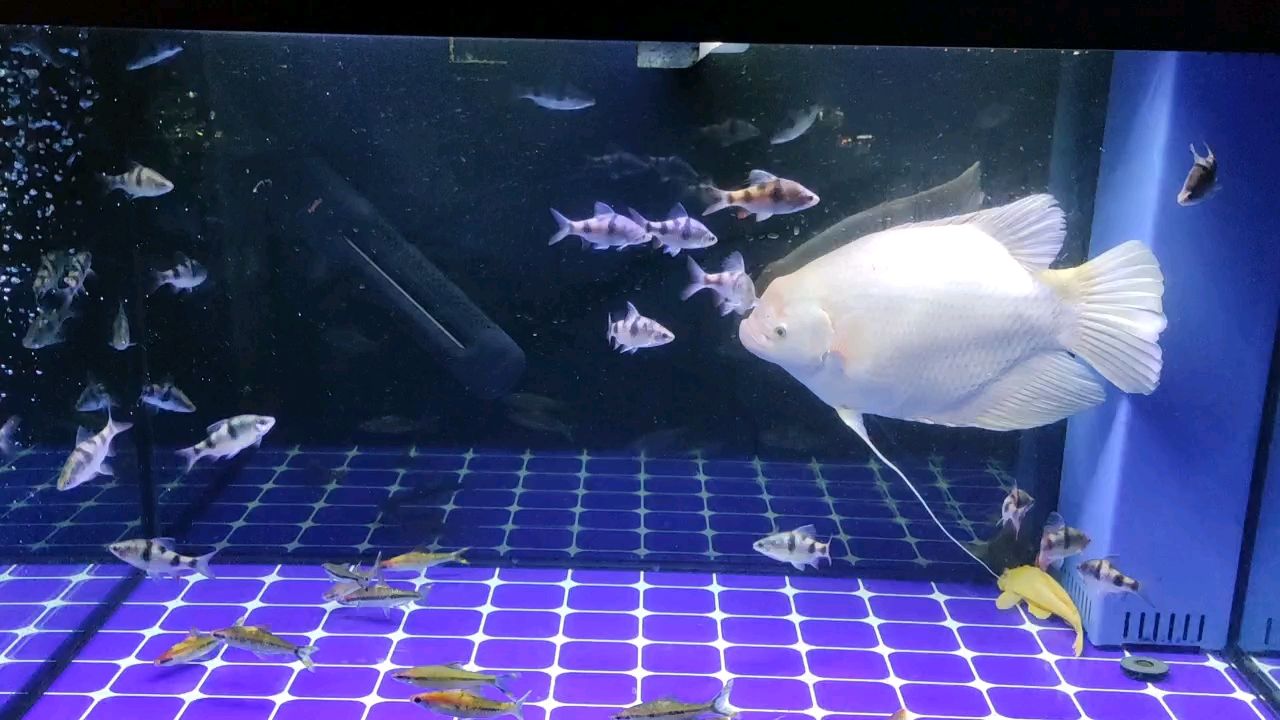 更換配置。