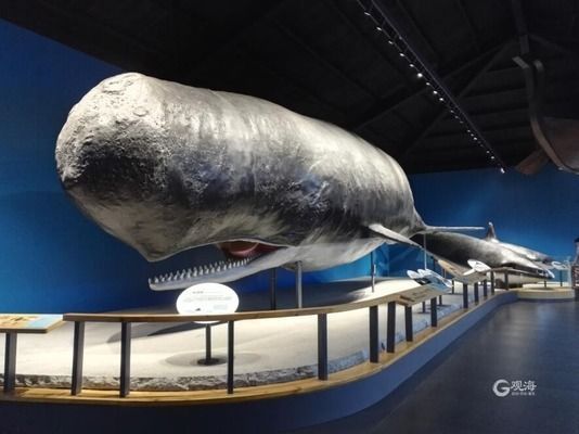 中國水族館發展現狀（中國水族館未來發展建議：加強人才培養、提高服務質量）