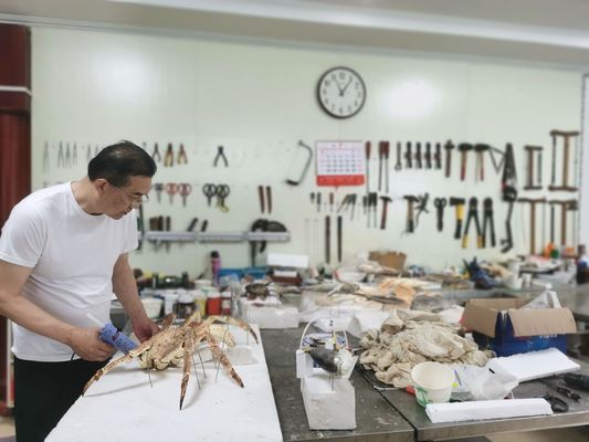 中國水族館發展現狀（中國水族館未來發展建議：加強人才培養、提高服務質量）