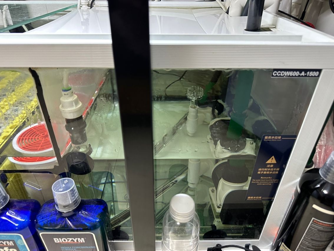 養魚不止，折騰不息。 最近改了二次回流，加個水泵倉吸油膜； 啟用了可麗愛自己的溢流區排便裝置，用一根魚絲杠桿防停電主缸被排空； 改了出水口位置，放在對面背面直下，加大魚缸靜水區； 氣泵改到出水口附近，推油膜到溢流區； 重頭戲是把第一格濾材的網袋丟了，網上下單亞克力板組裝6個過濾盒，希望過濾效果從此爆棚，網袋真不好，有死水區，裸放濾材又心疼玻璃； 老婆估計又吃醋了。