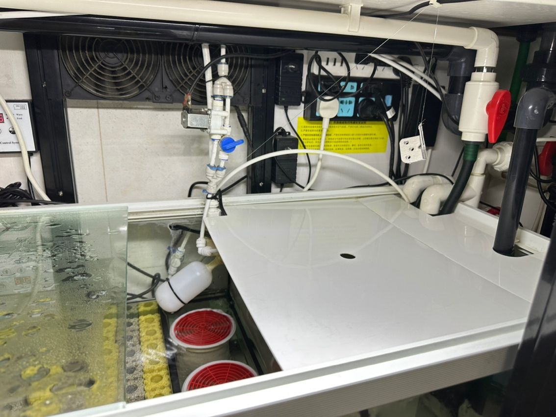 養魚不止，折騰不息。 最近改了二次回流，加個水泵倉吸油膜； 啟用了可麗愛自己的溢流區排便裝置，用一根魚絲杠桿防停電主缸被排空； 改了出水口位置，放在對面背面直下，加大魚缸靜水區； 氣泵改到出水口附近，推油膜到溢流區； 重頭戲是把第一格濾材的網袋丟了，網上下單亞克力板組裝6個過濾盒，希望過濾效果從此爆棚，網袋真不好，有死水區，裸放濾材又心疼玻璃； 老婆估計又吃醋了。