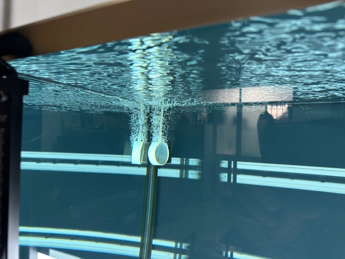 養魚不止，折騰不息。 最近改了二次回流，加個水泵倉吸油膜； 啟用了可麗愛自己的溢流區排便裝置，用一根魚絲杠桿防停電主缸被排空； 改了出水口位置，放在對面背面直下，加大魚缸靜水區； 氣泵改到出水口附近，推油膜到溢流區； 重頭戲是把第一格濾材的網袋丟了，網上下單亞克力板組裝6個過濾盒，希望過濾效果從此爆棚，網袋真不好，有死水區，裸放濾材又心疼玻璃； 老婆估計又吃醋了。