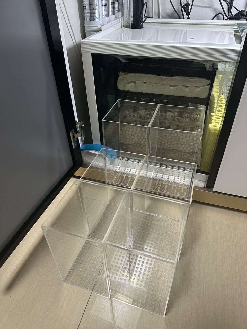 養魚不止，折騰不息。 最近改了二次回流，加個水泵倉吸油膜； 啟用了可麗愛自己的溢流區排便裝置，用一根魚絲杠桿防停電主缸被排空； 改了出水口位置，放在對面背面直下，加大魚缸靜水區； 氣泵改到出水口附近，推油膜到溢流區； 重頭戲是把第一格濾材的網袋丟了，網上下單亞克力板組裝6個過濾盒，希望過濾效果從此爆棚，網袋真不好，有死水區，裸放濾材又心疼玻璃； 老婆估計又吃醋了。