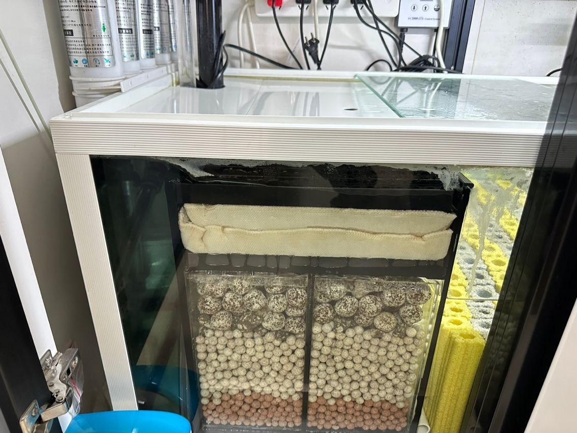 養魚不止，折騰不息。 最近改了二次回流，加個水泵倉吸油膜； 啟用了可麗愛自己的溢流區排便裝置，用一根魚絲杠桿防停電主缸被排空； 改了出水口位置，放在對面背面直下，加大魚缸靜水區； 氣泵改到出水口附近，推油膜到溢流區； 重頭戲是把第一格濾材的網袋丟了，網上下單亞克力板組裝6個過濾盒，希望過濾效果從此爆棚，網袋真不好，有死水區，裸放濾材又心疼玻璃； 老婆估計又吃醋了。