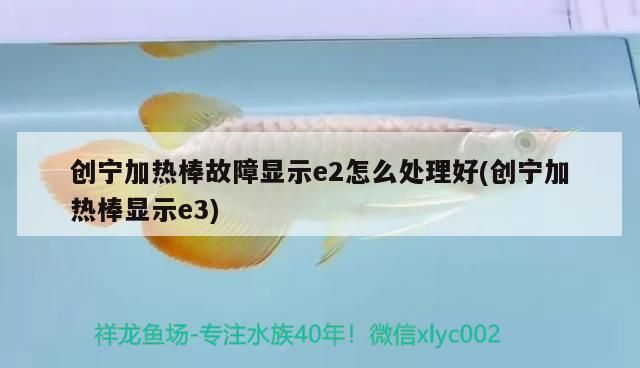 創寧加熱棒故障顯示e2怎么處理好(創寧加熱棒顯示e3)