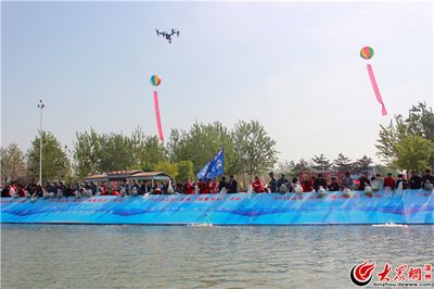 放魚養(yǎng)水 水清魚歡（放魚養(yǎng)水是一種怎樣的體驗(yàn)？）