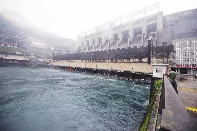 放魚養(yǎng)水 水清魚歡（放魚養(yǎng)水是一種怎樣的體驗(yàn)？）