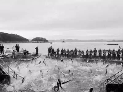 放魚養水 水清魚歡（放魚養水是一種怎樣的體驗？） 放魚養水 水清魚歡（放魚養水是一種怎樣的體驗？） 愛龍仕 第4張