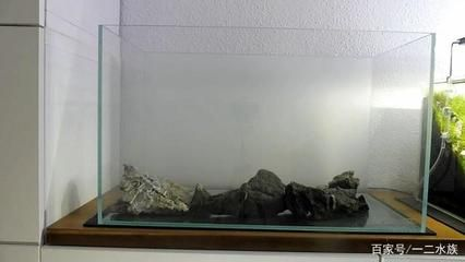 60cm魚缸造景：60cm魚缸造景基礎教程