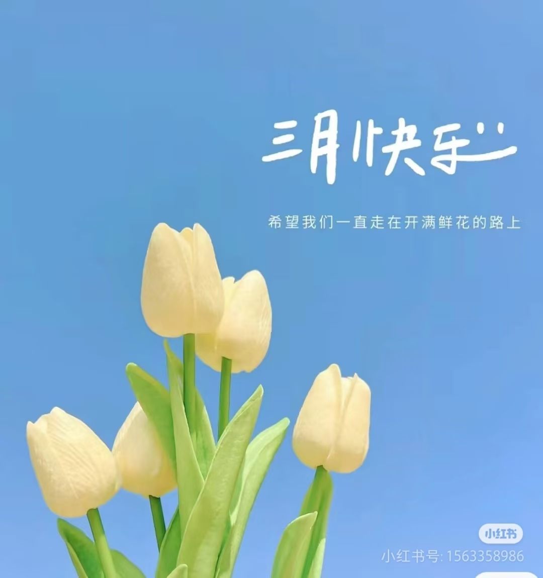 我的虎魚真菌感染了要怎么處理 今天的雨好大雨好大 龍魚論壇 今天的雨好大雨好大 今天的雨好大雨好大 龍魚論壇