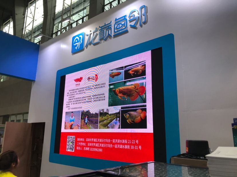 赤元素紅龍在aquarama展會上