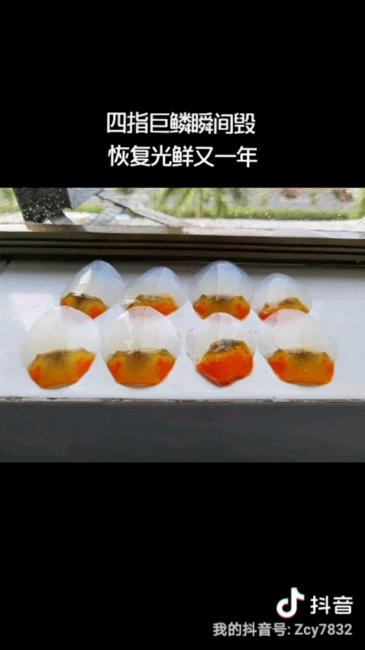 珍愛龍魚遠(yuǎn)離配對(duì)