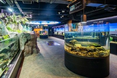 水族館在哪里看：中國最大的水族館之一大連圣亞海洋世界水族館開放時間查詢