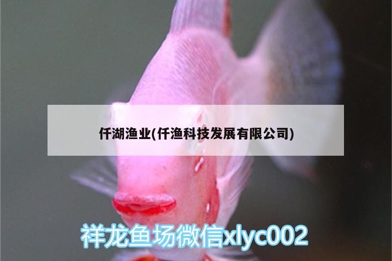 仟湖漁業(仟漁科技發展有限公司)