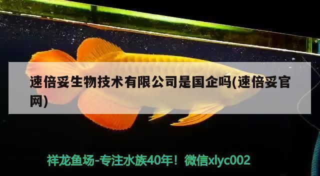 速倍妥生物技術有限公司是國企嗎(速倍妥官網)