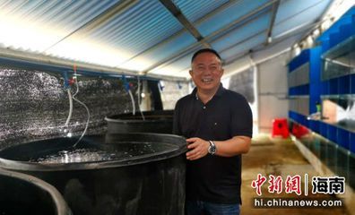海南觀賞魚協會會長是誰（海南省觀賞魚產業協會會長是誰？）