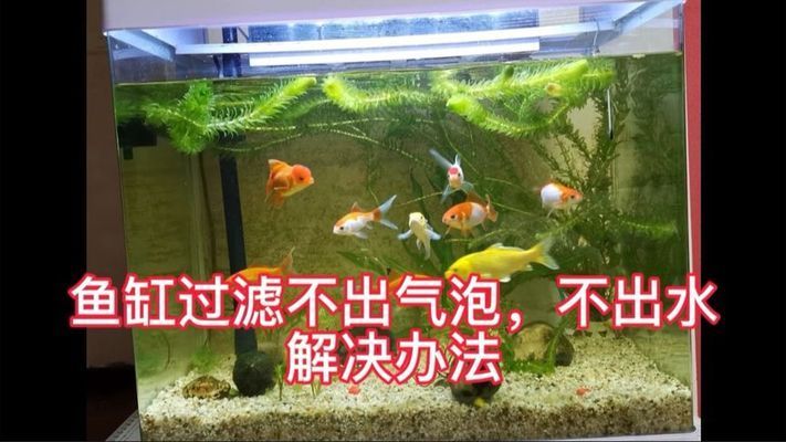 吉印客服電話(huà)號(hào)碼多少（吉印客服電話(huà)號(hào)碼多少號(hào)）