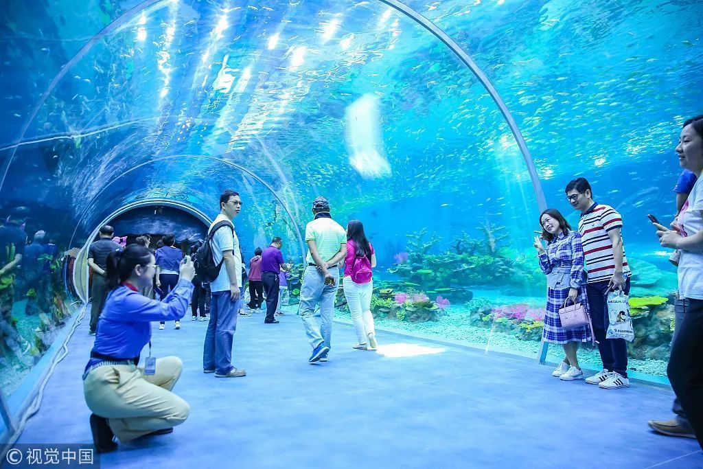 水族館行業投資機會分析（水族館行業具有廣闊的投資潛力）