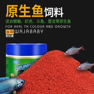 虎魚可以喂飼料嗎：虎魚可以喂食飼料嗎，虎魚可以喂飼料嗎