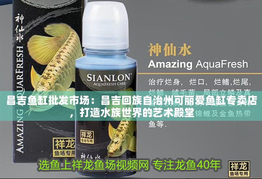 昌吉魚缸批發(fā)市場：昌吉回族自治州可麗愛魚缸專賣店，打造水族世界的藝術(shù)殿堂