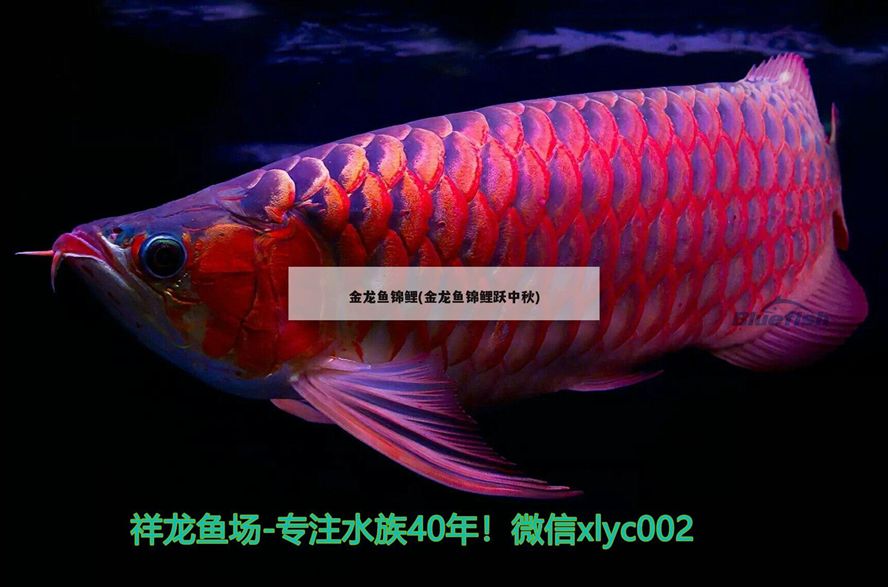 臨汾二手魚缸低價出售 臨汾二手魚缸低價出售