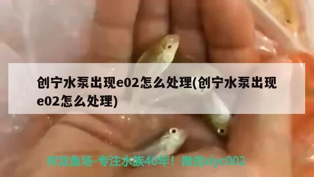 創寧水泵出現e02怎么處理(創寧水泵出現e02怎么處理)