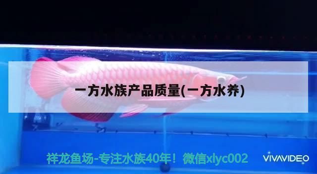 一方水族產品質量(一方水養)