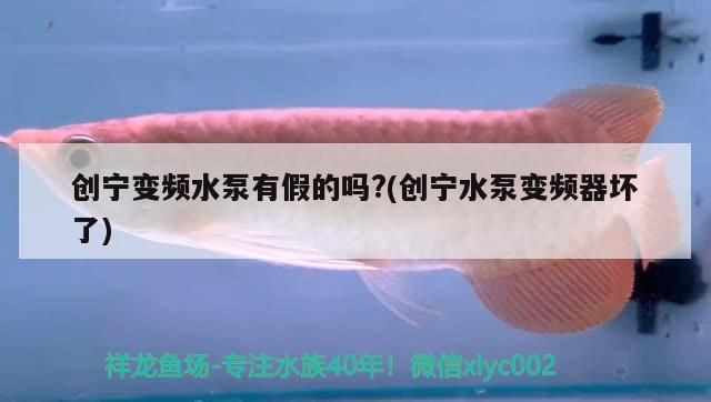 創(chuàng)寧變頻水泵有假的嗎?(創(chuàng)寧水泵變頻器壞了)