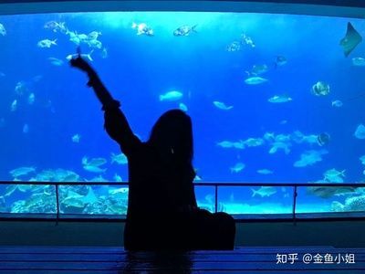 水族館好玩嗎值得去嗎知乎（<strong><mark>上海</mark></strong>水族館拍照打卡圣地水族館拍照打卡圣地水族館）