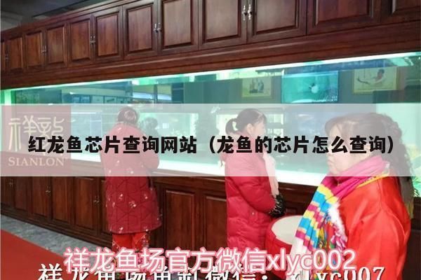 紅龍魚芯片怎么查詢生產日期：如何查詢紅龍魚芯片生產日期