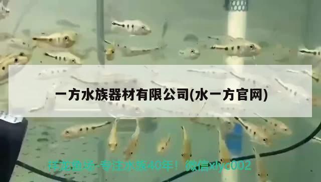 一方水族器材有限公司(水一方官網)