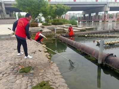 放魚養(yǎng)水生態(tài)護(hù)河（放魚養(yǎng)水是一種既簡單又有效的生態(tài)治理方式）