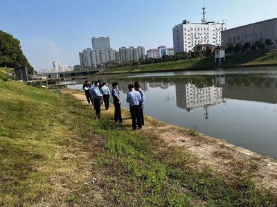 放魚養水生態護河（放魚養水是一種既簡單又有效的生態治理方式）